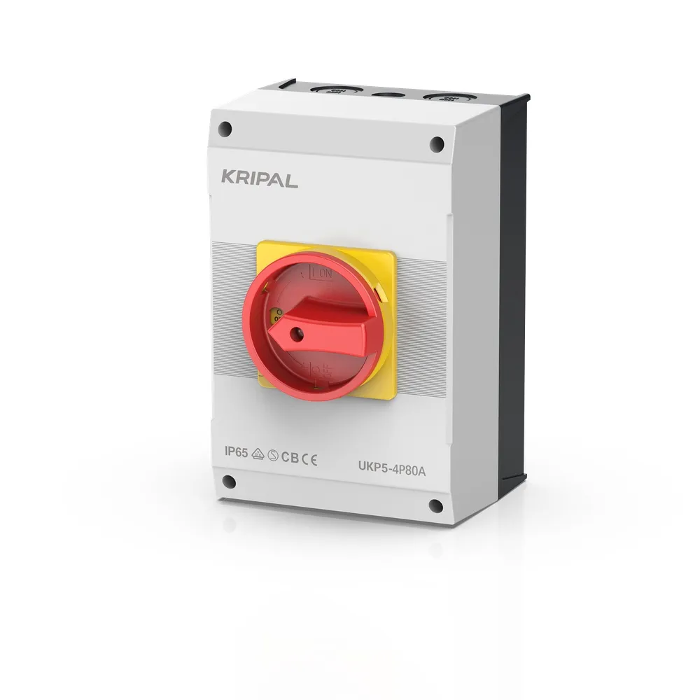 Main switch 80A 4-pole VDE